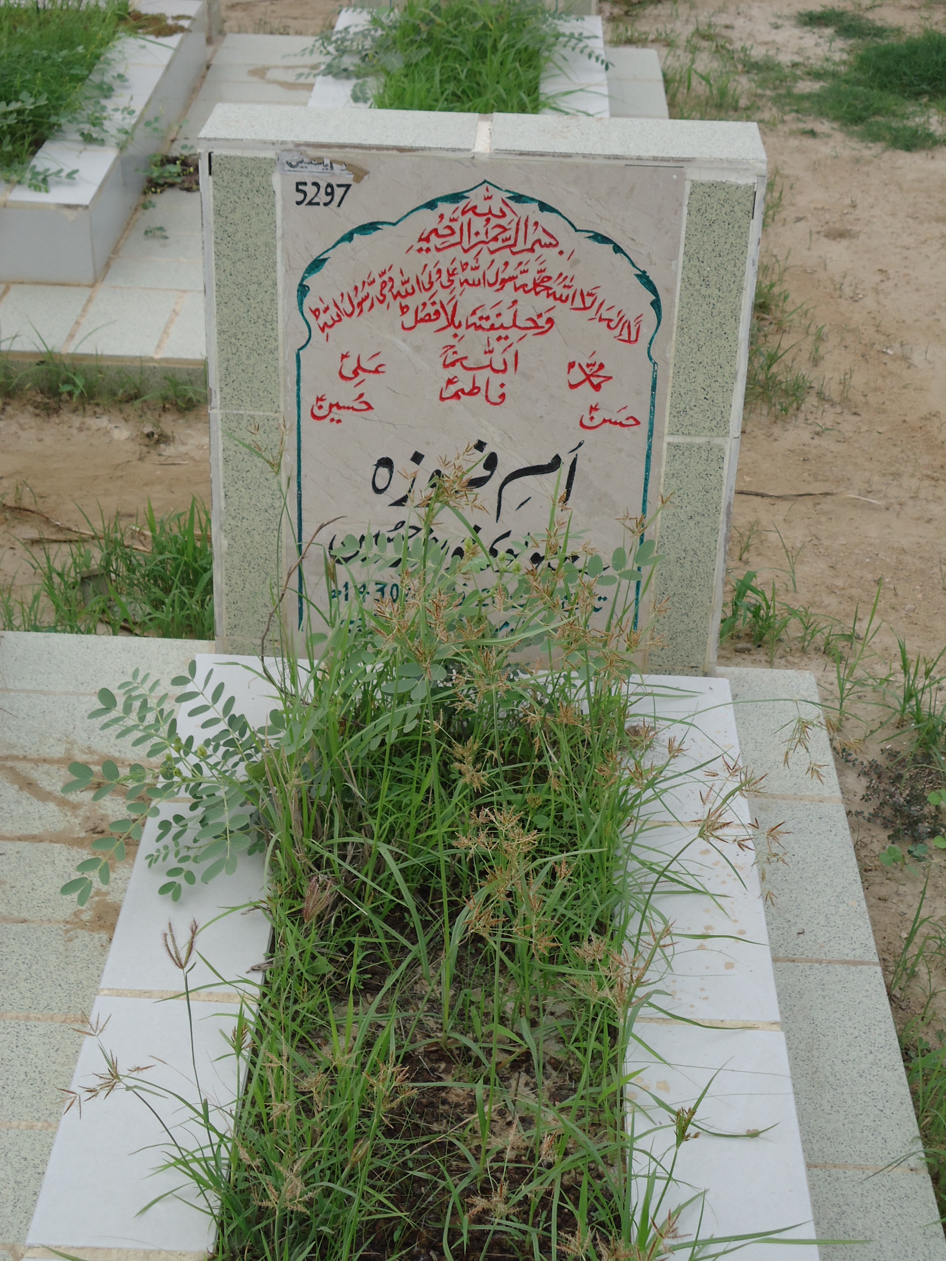 5297 – Ummay Farwa